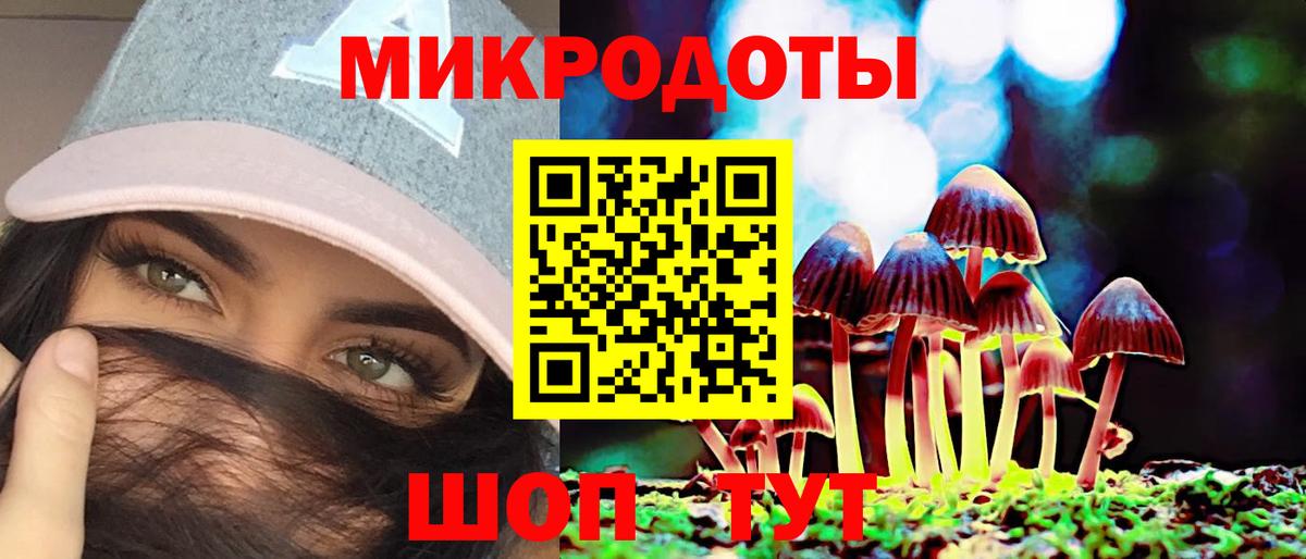 Псилоцибиновые грибы Cubensis Клинцы